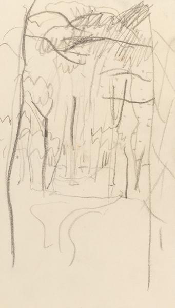 Chemin sous les arbres