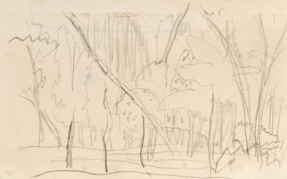 Le sous-bois, circa 1894