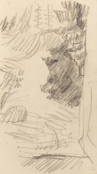 Sapin dans le jardin du Clos au Grand-Lemps, circa 1918-19