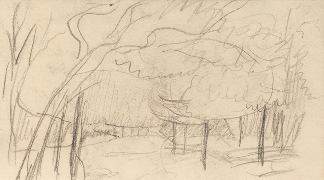 Sentier dans le sous-bois